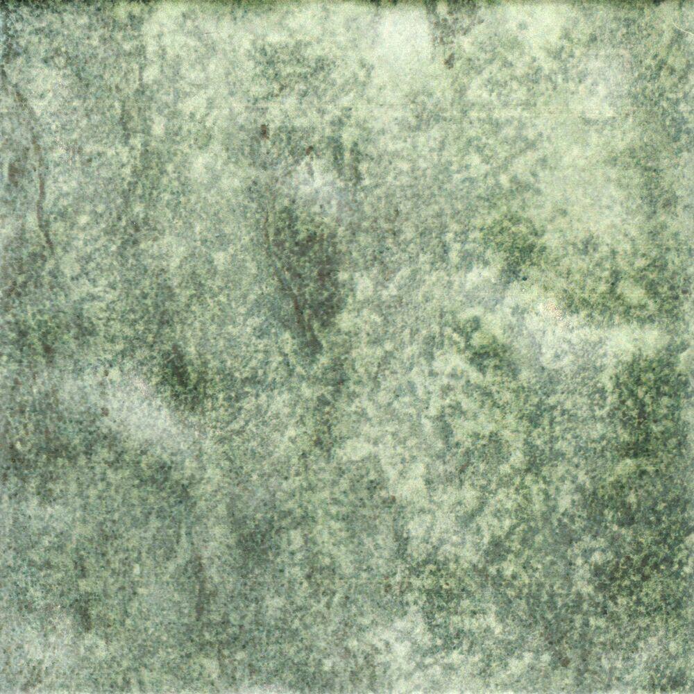 Revestimento Parede Gloss Ivy Verde Bold Polido 20x20 Pierini