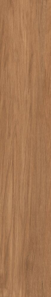 Porcelanato Arbo Rosso Retificado Acetinafo 20X120 Biancogres