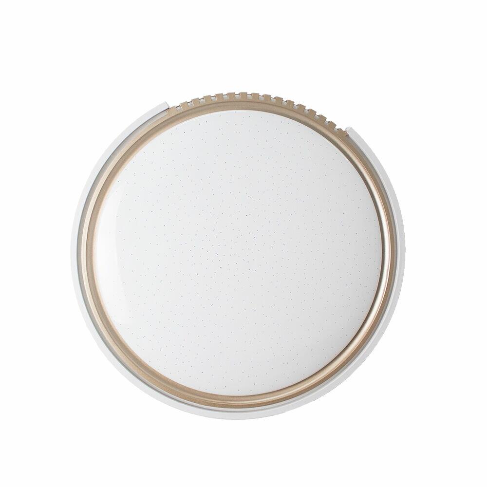 Plafons Led Redondo 24w Young Branco Bivolt Blumenau Iluminações