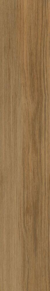 Porcelanato Arbo Natural Mono Retificado Acetinado 20x120 Biancogres