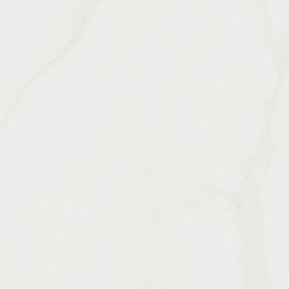 Porcelanato Cassini Brut Retificado Mate 100x100 Eliane
