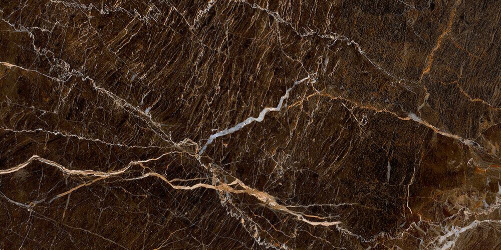 Porcelanato Relegant Brown Marrom Retificado Polido 62cmx121cm Damme