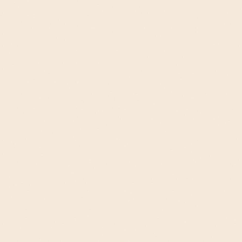 Porcelanato Bianco Plus Retificado 60x60 Eliane